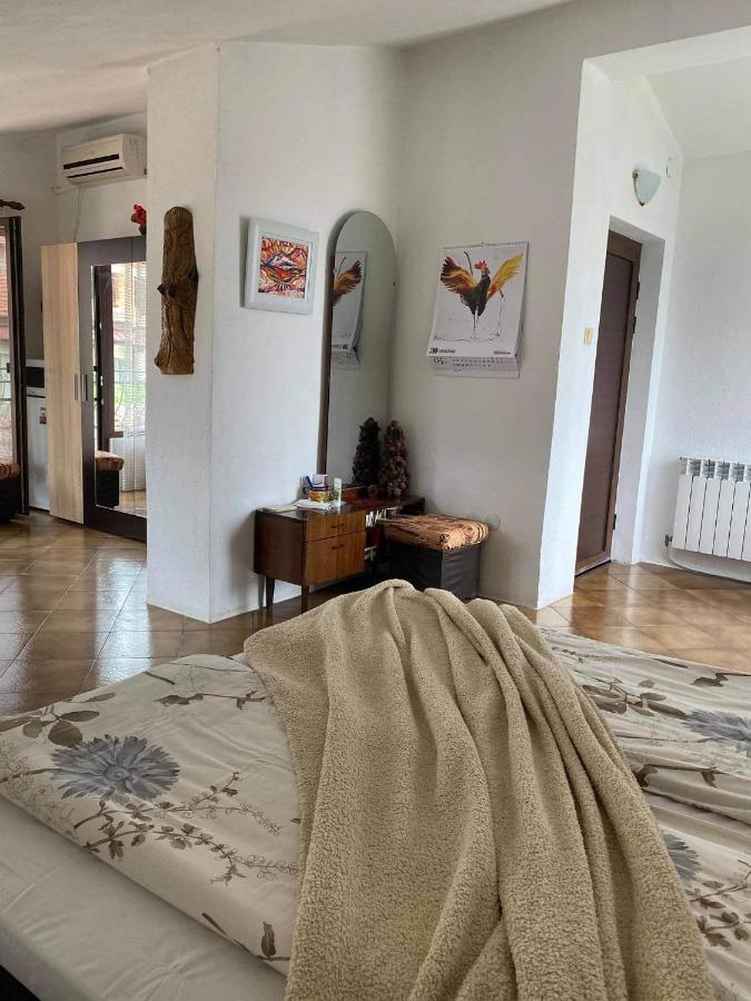 Art Studio Sapareva Banya Ngoại thất bức ảnh